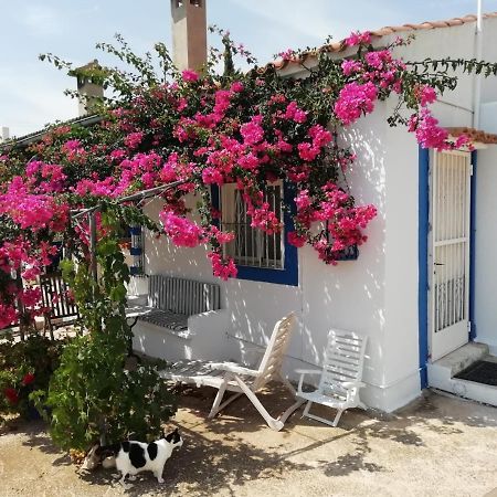 Finca La Joya Торребланка Екстер'єр фото