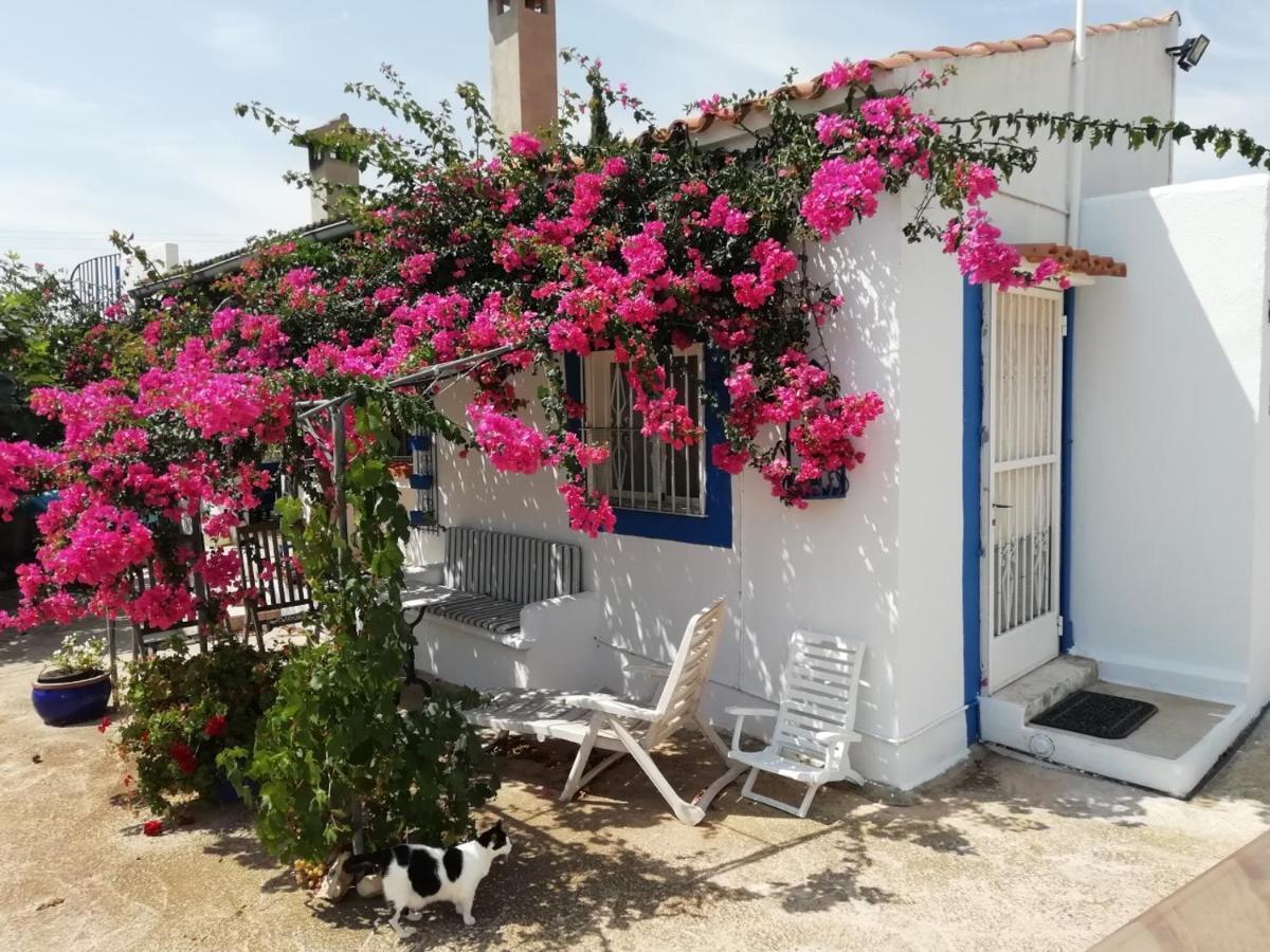 Finca La Joya Торребланка Екстер'єр фото